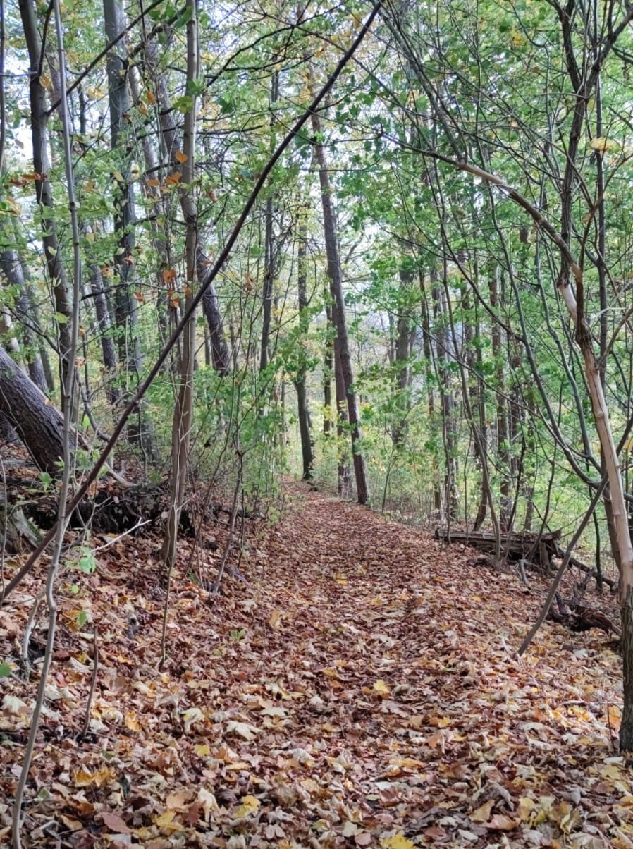 Wandern in Eisenach