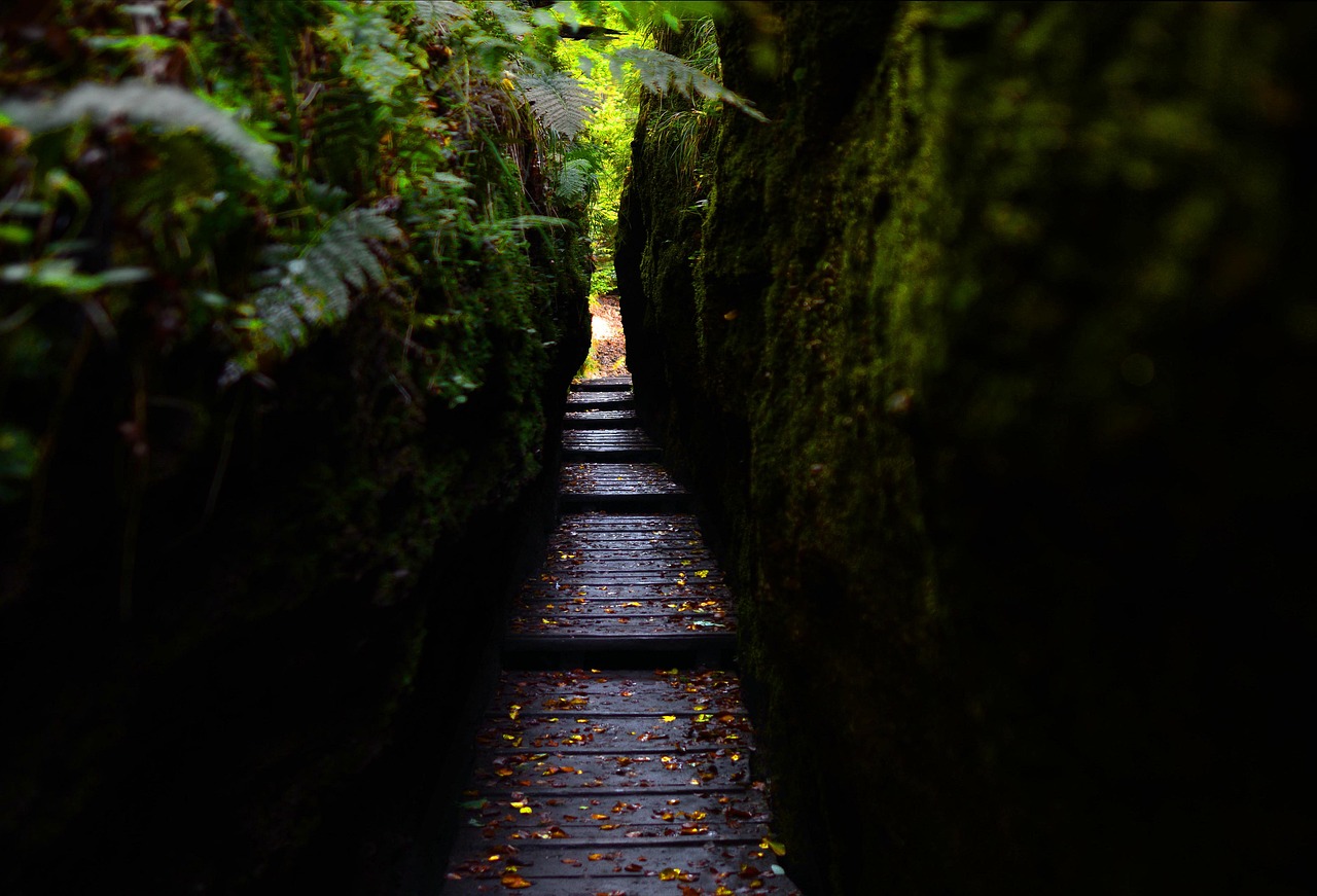 Drachenschlucht Eisenach